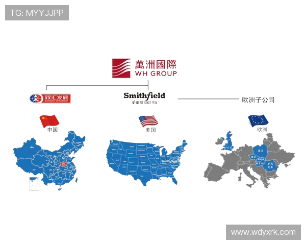 问鼎国际网页:企业如何通过国际网页设计实现品牌全球化与市场拓展 问鼎国际网页:企业如何通过国际网页设计实现品牌全球化与市场拓展