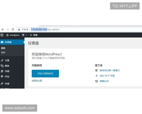 问鼎网页版登录流程详解，帮助新手快速熟悉登录步骤与操作要点